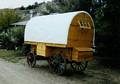 Wooly Wagon