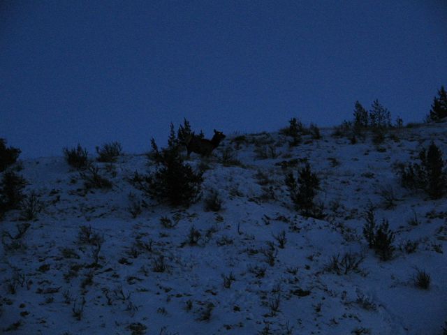 Moonlight in Theodore Roosevelt National Park